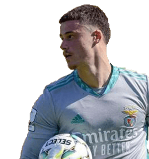 scheda fantacalcio MILE SVILAR